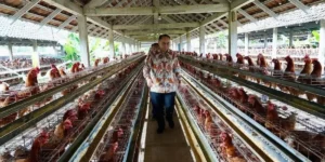 Peran Danantara Menguat dalam Restrukturisasi BUMN, Antam dan PTBA Kembali Berstatus Persero