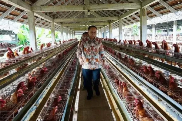 Peran Danantara Menguat dalam Restrukturisasi BUMN, Antam dan PTBA Kembali Berstatus Persero