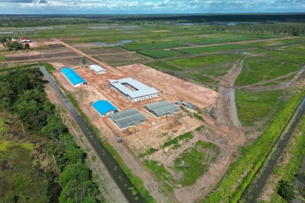 Papua dan Arah Baru Kebijakan Swasembada Energi Berkeadilan