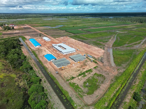 Papua dan Arah Baru Kebijakan Swasembada Energi Berkeadilan