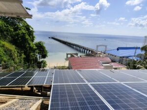 Pemerintah Dorong Swasembada Energi melalui Komoditas Strategis