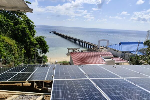 Pemerintah Dorong Swasembada Energi melalui Komoditas Strategis