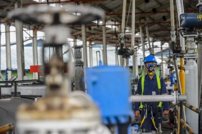 Komoditas Strategis Jadi Andalan Pemerintah Capai Swasembada Energi