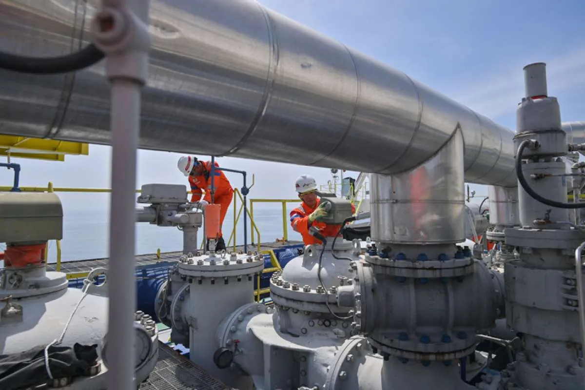 Swasembada Energi dan Pangan Jadi Strategi Prabowo Wujudkan Ketahanan Nasional Berkelanjutan