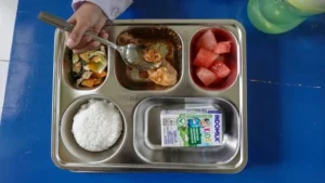 MBG Pacu Produksi dan Distribusi Pangan, Swasembada Kian Menguat