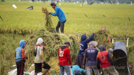 Deregulasi Besar-Besaran, Pemerintah Percepat Swasembada Pangan Multi Komoditas