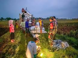 Pemerintah Optimistis Serapan Gabah 2026 Tembus 4 Juta Ton, Perkuat Swasembada Pangan Berkelanjutan