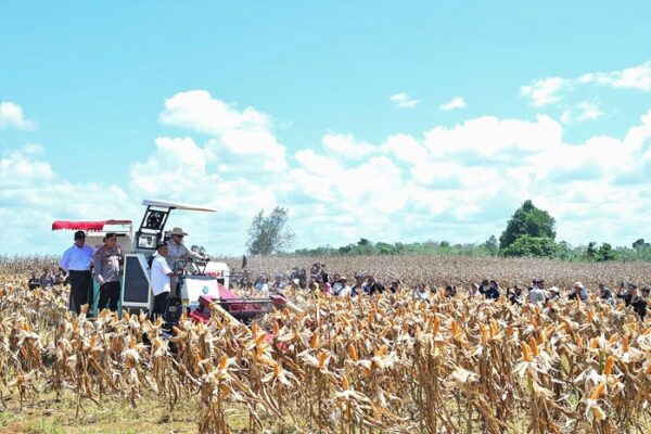 Deregulasi, Hilirisasi, dan Ekspansi Lahan, Strategi Komprehensif Jaga Ketahanan Pangan