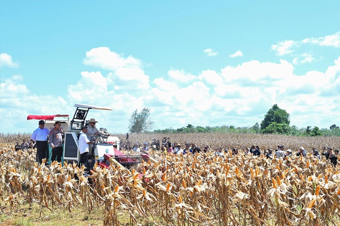 Deregulasi, Hilirisasi, dan Ekspansi Lahan, Strategi Komprehensif Jaga Ketahanan Pangan
