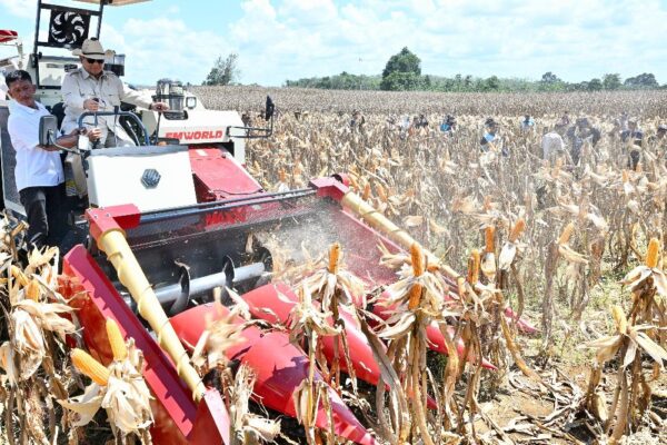 Modernisasi dan Deregulasi Jadi Kunci, Indonesia Mantap Menuju Swasembada Berkelanjutan