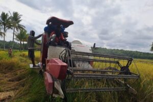 Pemerintah Perkuat Perlindungan Sawah dan Reforma Agraria untuk Jaga Swasembada Pangan