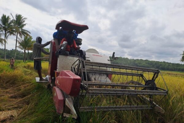 Pemerintah Perkuat Perlindungan Sawah dan Reforma Agraria untuk Jaga Swasembada Pangan