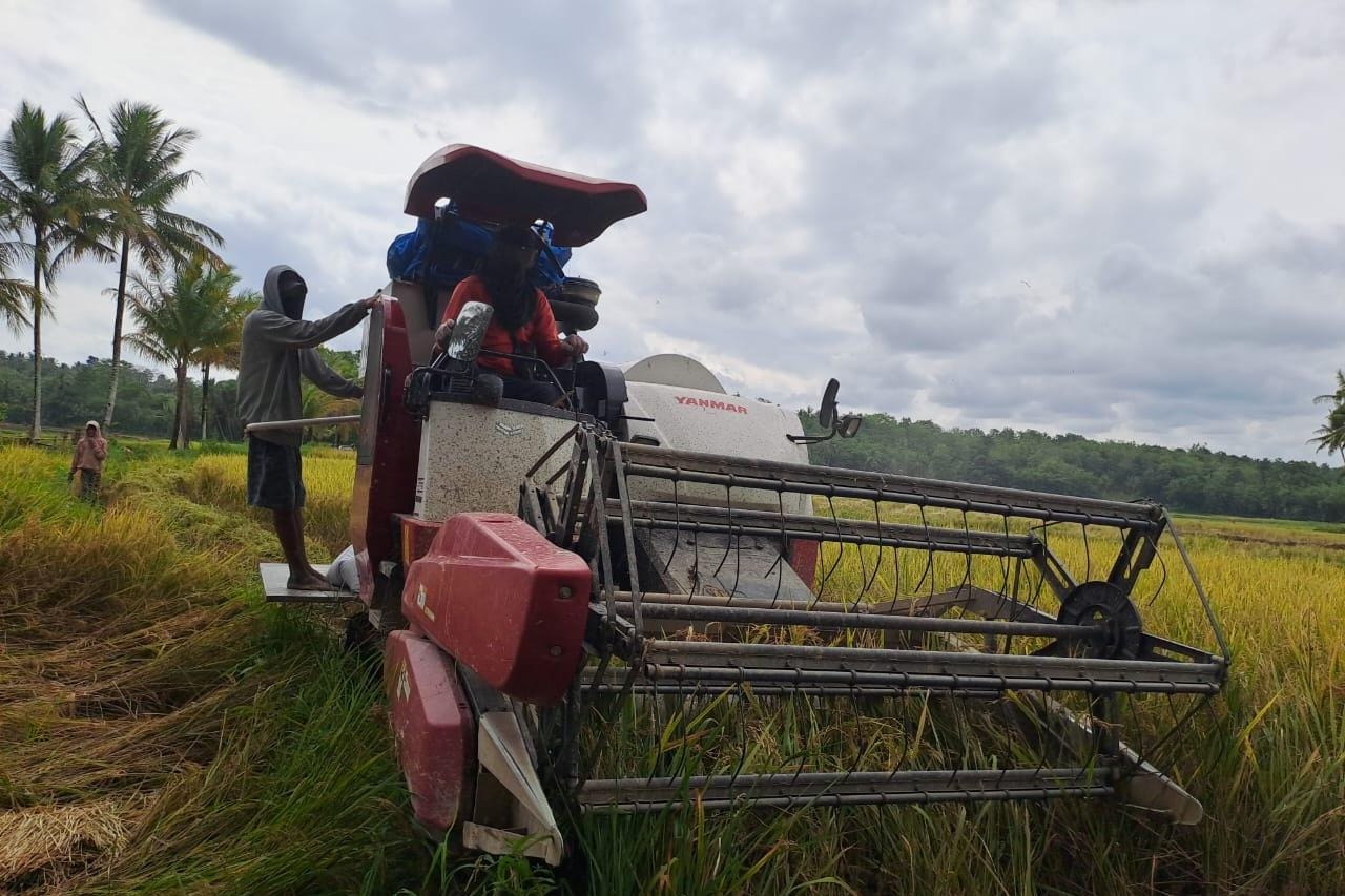 Pemerintah Perkuat Perlindungan Sawah dan Reforma Agraria untuk Jaga Swasembada Pangan