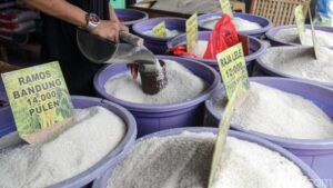 Swasembada Beras Terwujud, Indonesia Menuju Ketahanan Pangan Nasional
