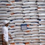 Swasembada Beras Diperkuat, Arah Kebijakan Menuju Pasar Ekspor