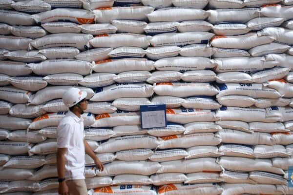 Swasembada Beras Diperkuat, Arah Kebijakan Menuju Pasar Ekspor