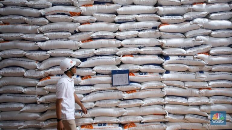 Produksi Surplus, Indonesia Siap Ekspor Beras