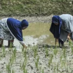 Pemerintah Genjot Hilirisasi dari Laboratorium ke Industri