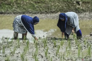 Pemerintah Genjot Hilirisasi dari Laboratorium ke Industri