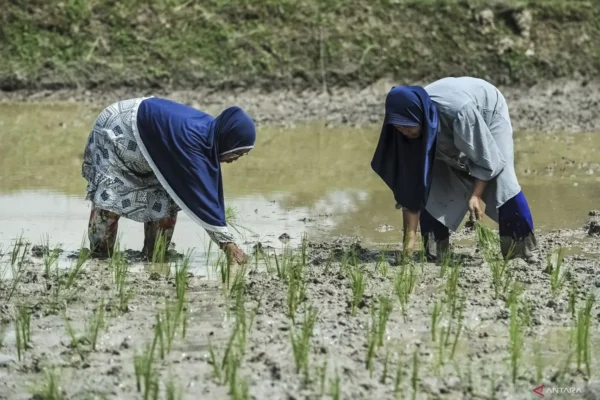 Pemerintah Genjot Hilirisasi dari Laboratorium ke Industri