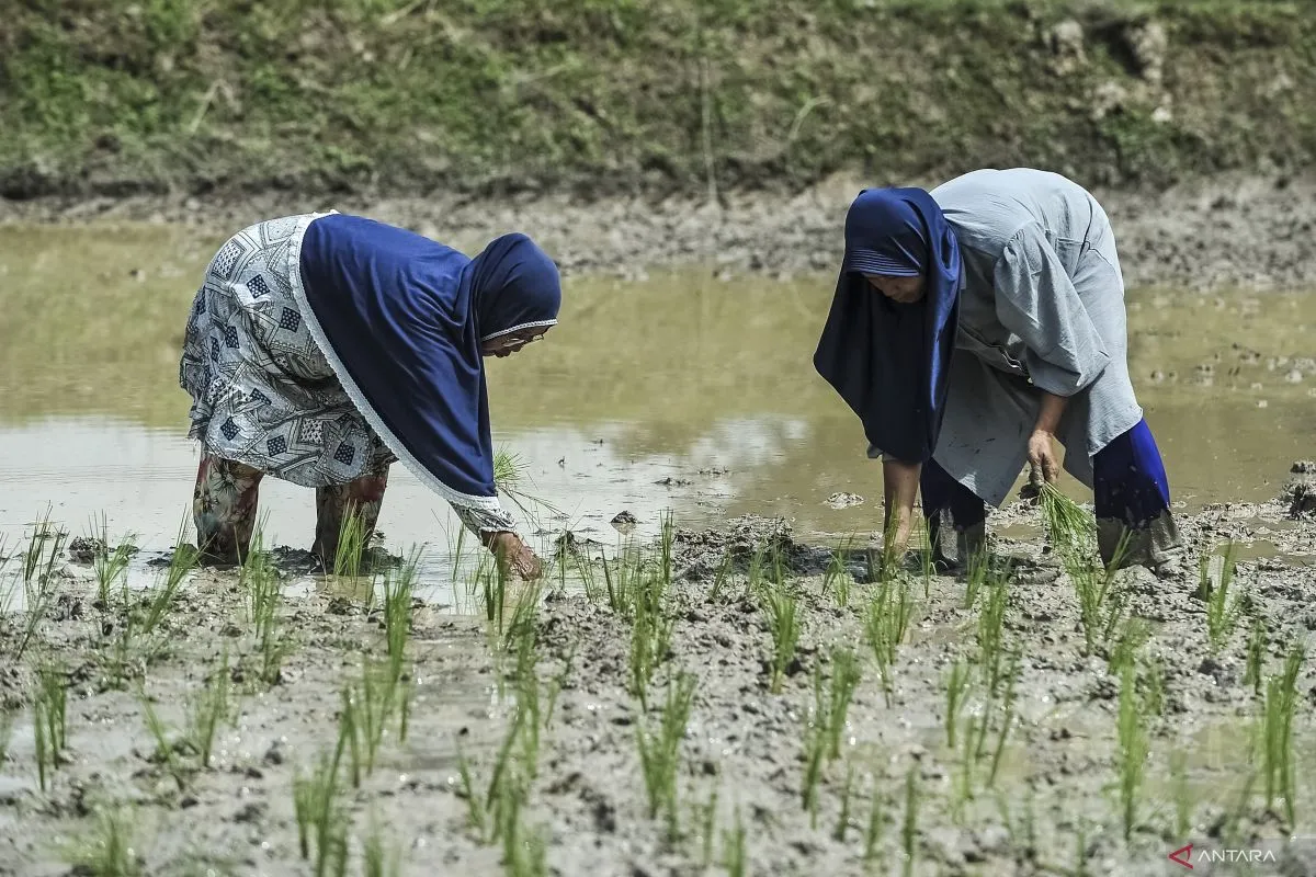 Pemerintah Genjot Hilirisasi dari Laboratorium ke Industri