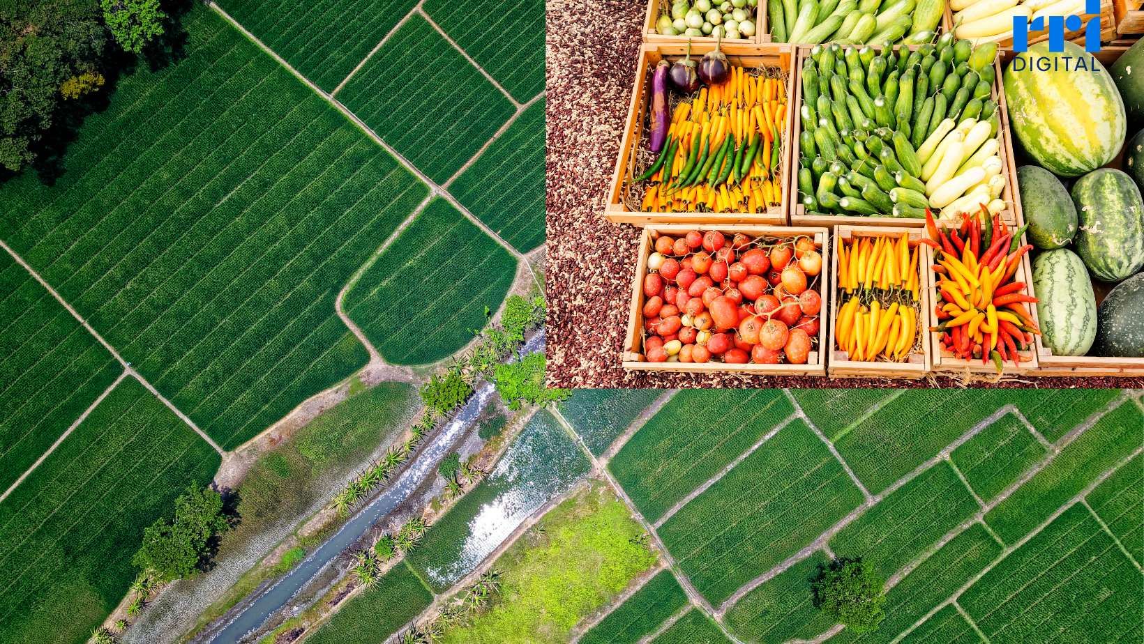 Swasembada Pangan Dipercepat untuk Jaga Stabilitas Dalam Negeri