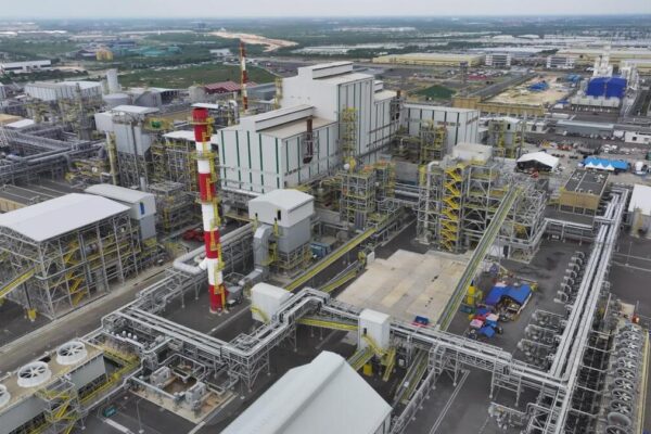 Penguatan Hilirisasi Komoditas Unggulan Papua Dorong Perekonomian Daerah