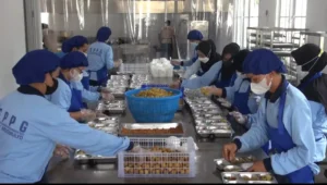 MBG Gerakkan Ekonomi Daerah, Perputaran Dana dan Tenaga Kerja Meningkat