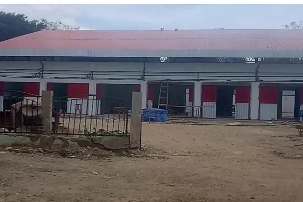 Skema Baru Pendanaan Koperasi Merah Putih Bangun Optimisme Masyarakat