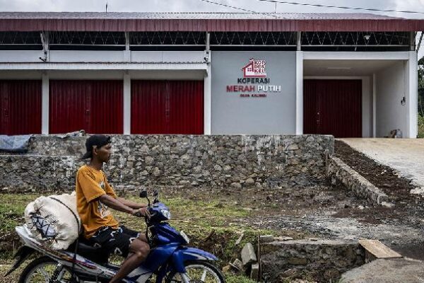 Rekrutmen Ribuan Manajer Koperasi Merah Putih Dibuka, Peluang Besar bagi Anak Muda
