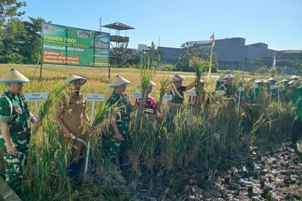 Jakarta - Pemerintah memastikan stabilitas harga pangan tetap terjaga di tengah dinamika global melalui berbagai intervensi yang terukur. Upaya ini dilakukan untuk menjaga keseimbangan harga di tingkat produsen dan konsumen, sekaligus melindungi petani serta mempertahankan daya beli masyarakat.
