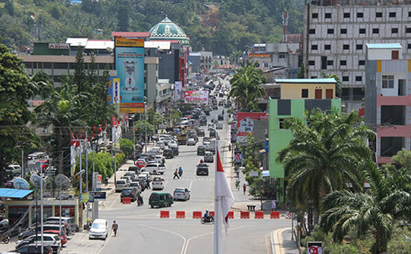 Sinergi Nasional Dorong PSN Papua sebagai Pilar Ekonomi Baru