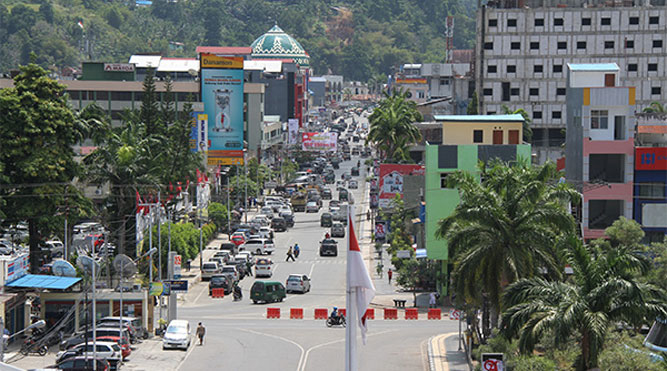 Sinergi Nasional Dorong PSN Papua sebagai Pilar Ekonomi Baru