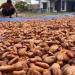 Hilirisasi Komoditas Lokal Perkuat Target Ketahanan Pangan