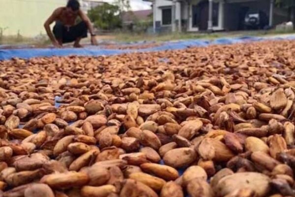 Hilirisasi Komoditas Lokal Perkuat Target Ketahanan Pangan