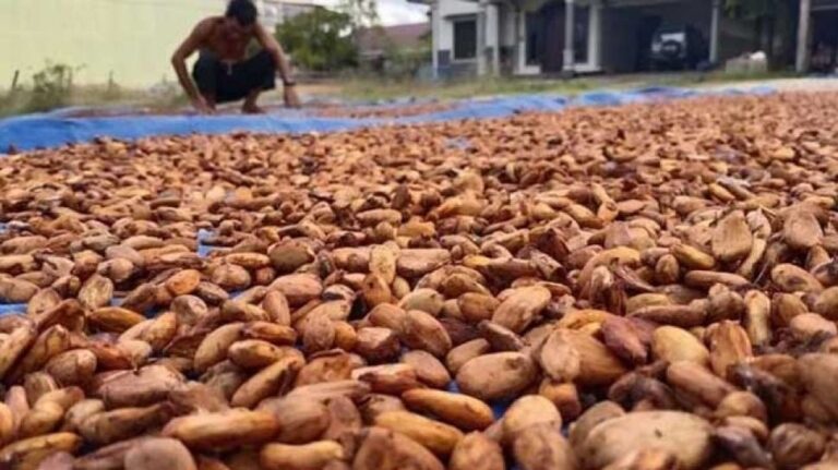 Hilirisasi Komoditas Lokal Perkuat Target Ketahanan Pangan