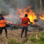 Sinergi Lintas Sektor Diperkuat, Karhutla Ditekan Sejak Dini