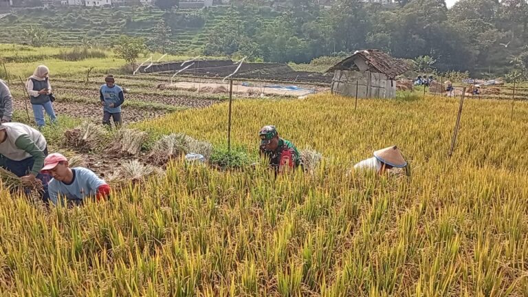 Ketahanan Pangan Diperkuat lewat Kerja Sama Lintas Sektor dan Regional