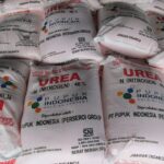 Harga Pupuk Subsidi Dijaga, Petani Tetap Terlindungi dari Dampak Global