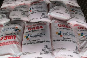 Harga Pupuk Subsidi Dijaga, Petani Tetap Terlindungi dari Dampak Global