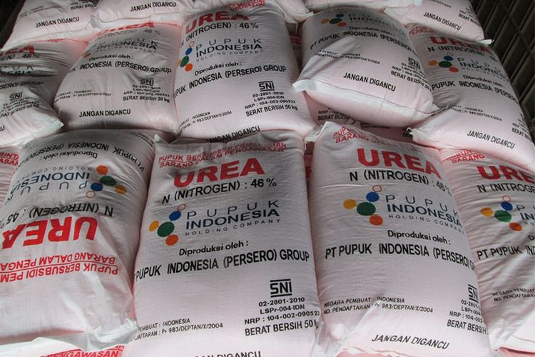Harga Pupuk Subsidi Dijaga, Petani Tetap Terlindungi dari Dampak Global