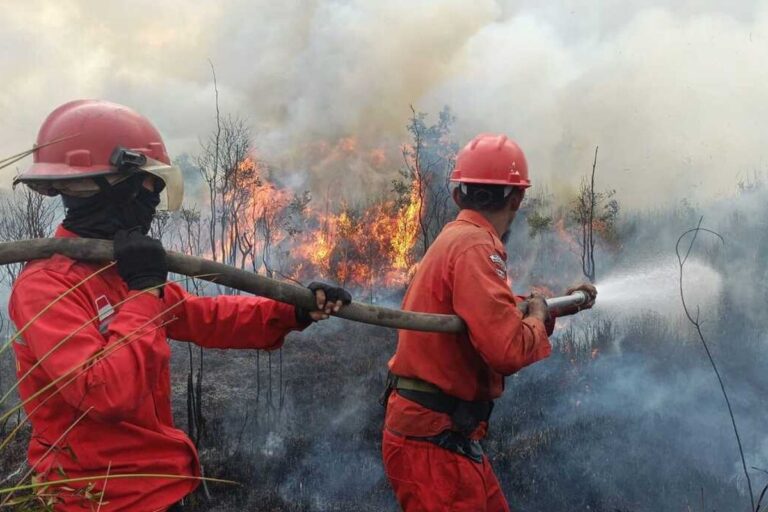 Mengawal Bantuan Karhutla Tepat Sasaran dan Transparan